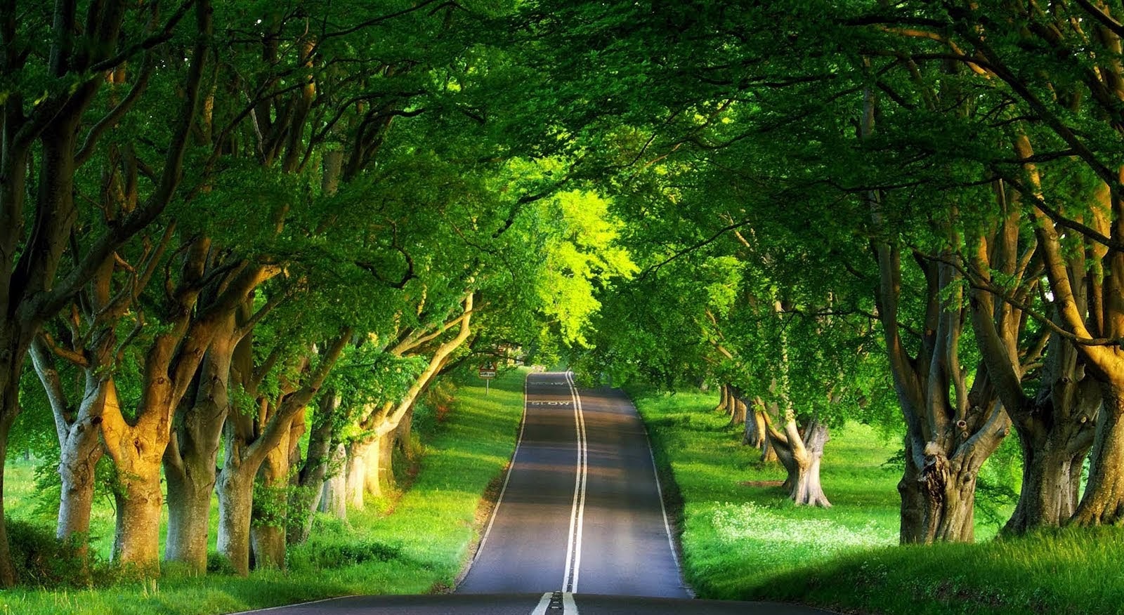 best-wallpapers-hd-best-nature-wallpapers-hd-5inlR.jpg